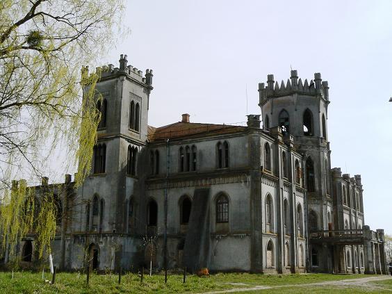 Image 7